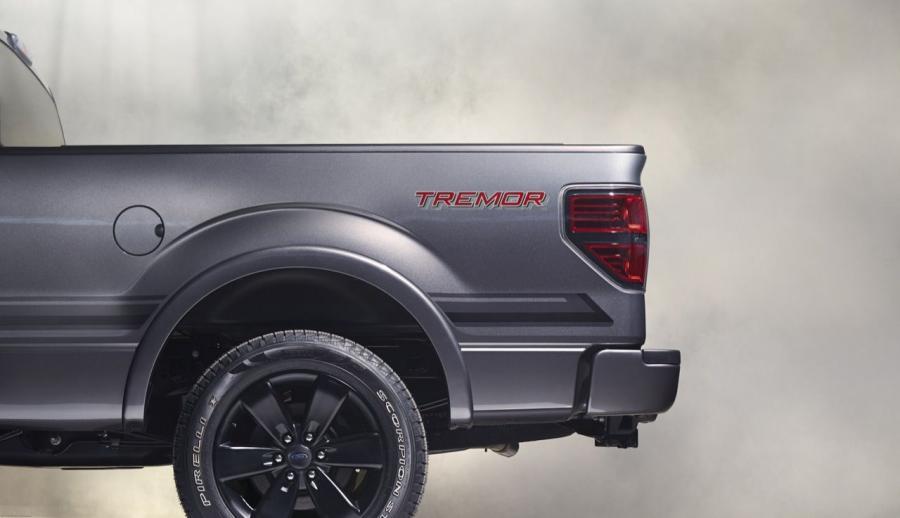  Ford F-150 Tremor 2014 года  (фото 10 из 39)